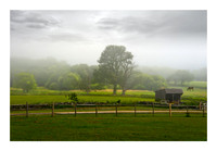 Pastoral Scene