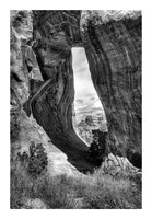 Ellipse