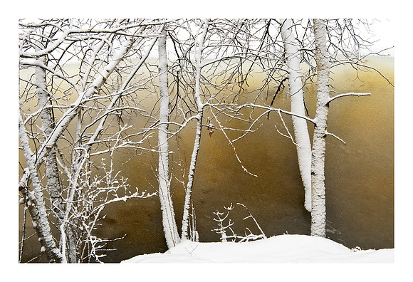 Frozen in Time