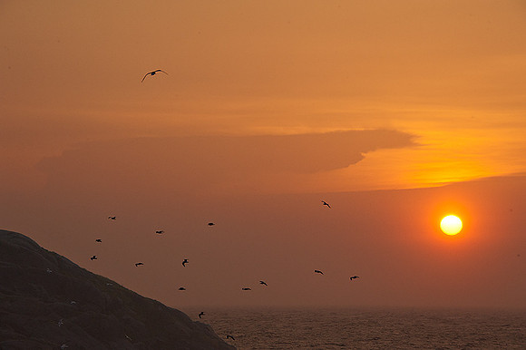 Sunset at Monhegan Island,ME
