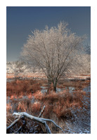 Winter Along the Shawsheen River
