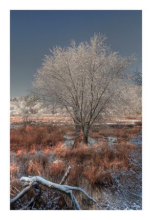 Winter Along the Shawsheen River