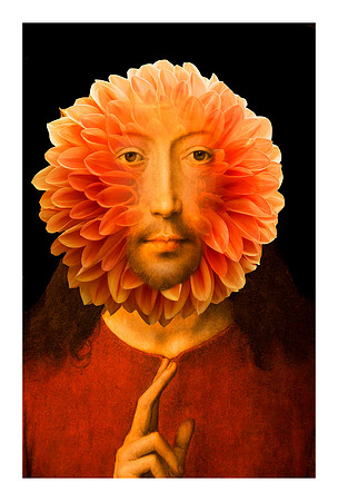 Blessed are the Flowers