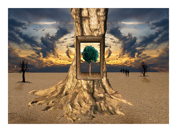 Rebirth