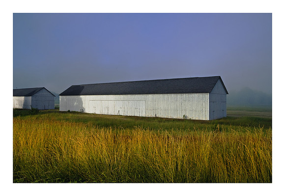 Tobacco Barns