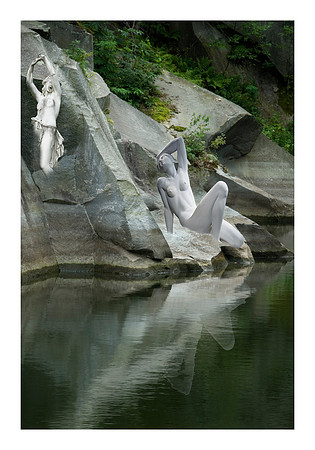Emerging Forms