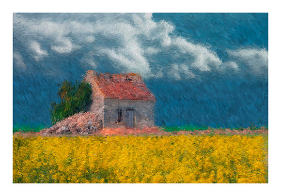The Shed