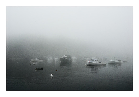 Fog at New Harbor