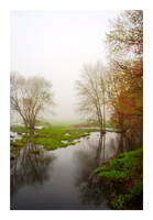 Fall Along the River